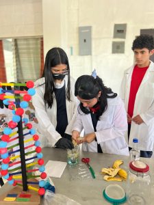 Imagen de WhatsApp 2025-11-03 a las 11.38.40_e01fbf65